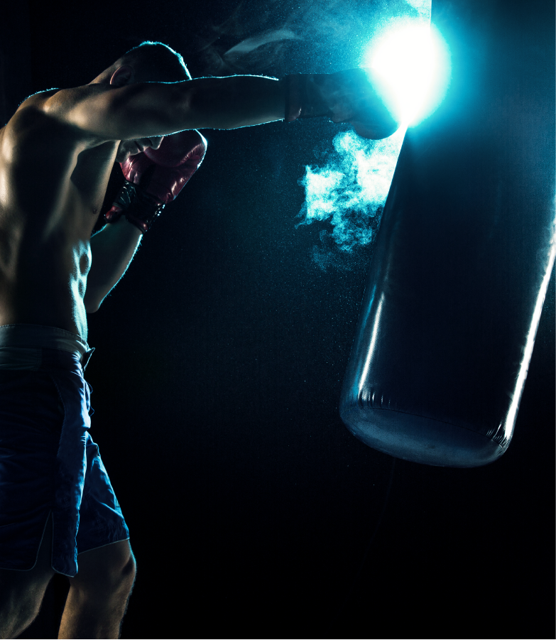TIPOS DE SACOS DE BOXEO