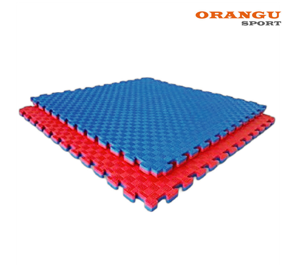 PLANCHAS DE TATAMI 2Cm / PACK 10 PRODUCTOS / ORANGU SPORT